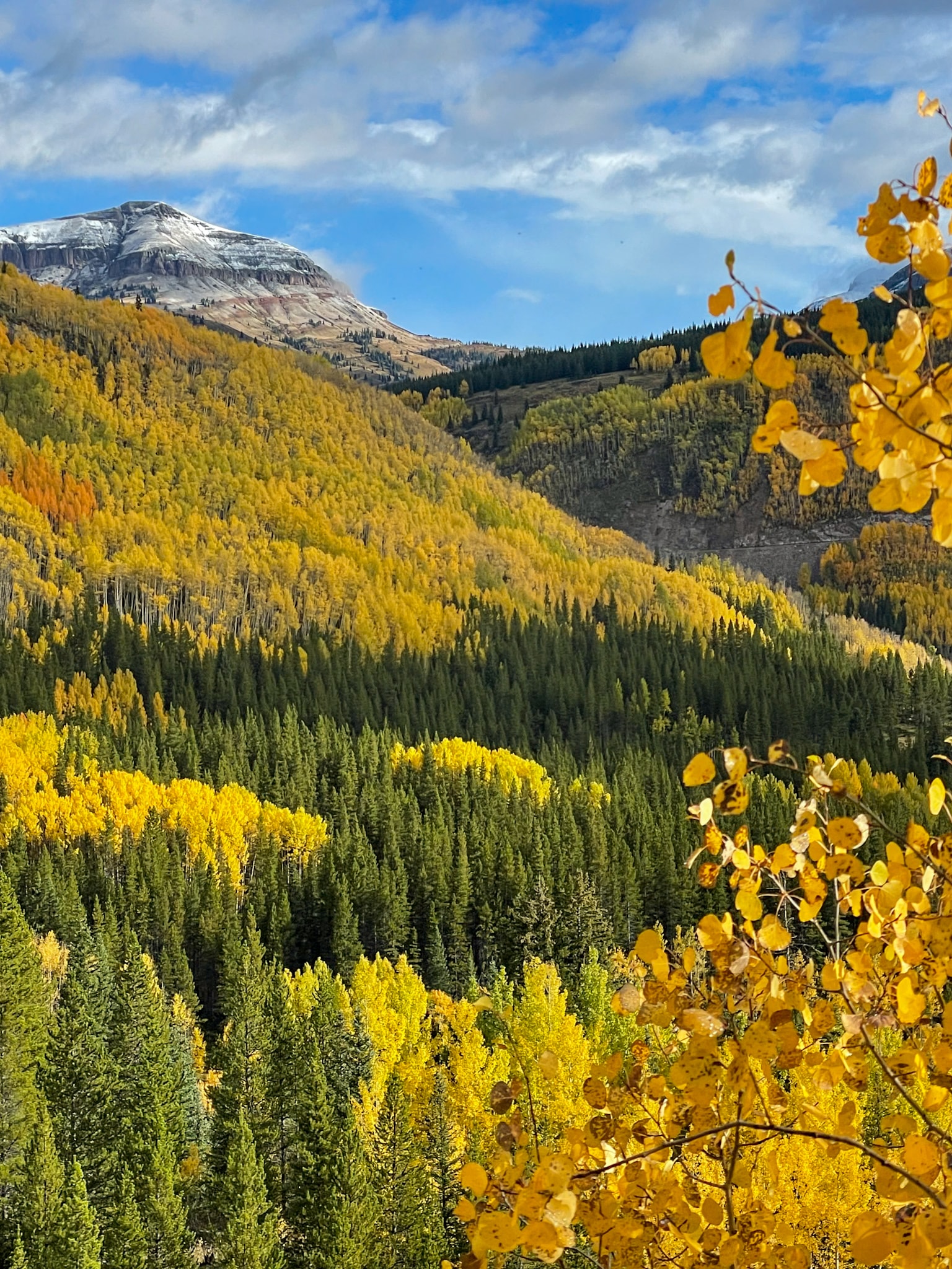 Early Fall Colors