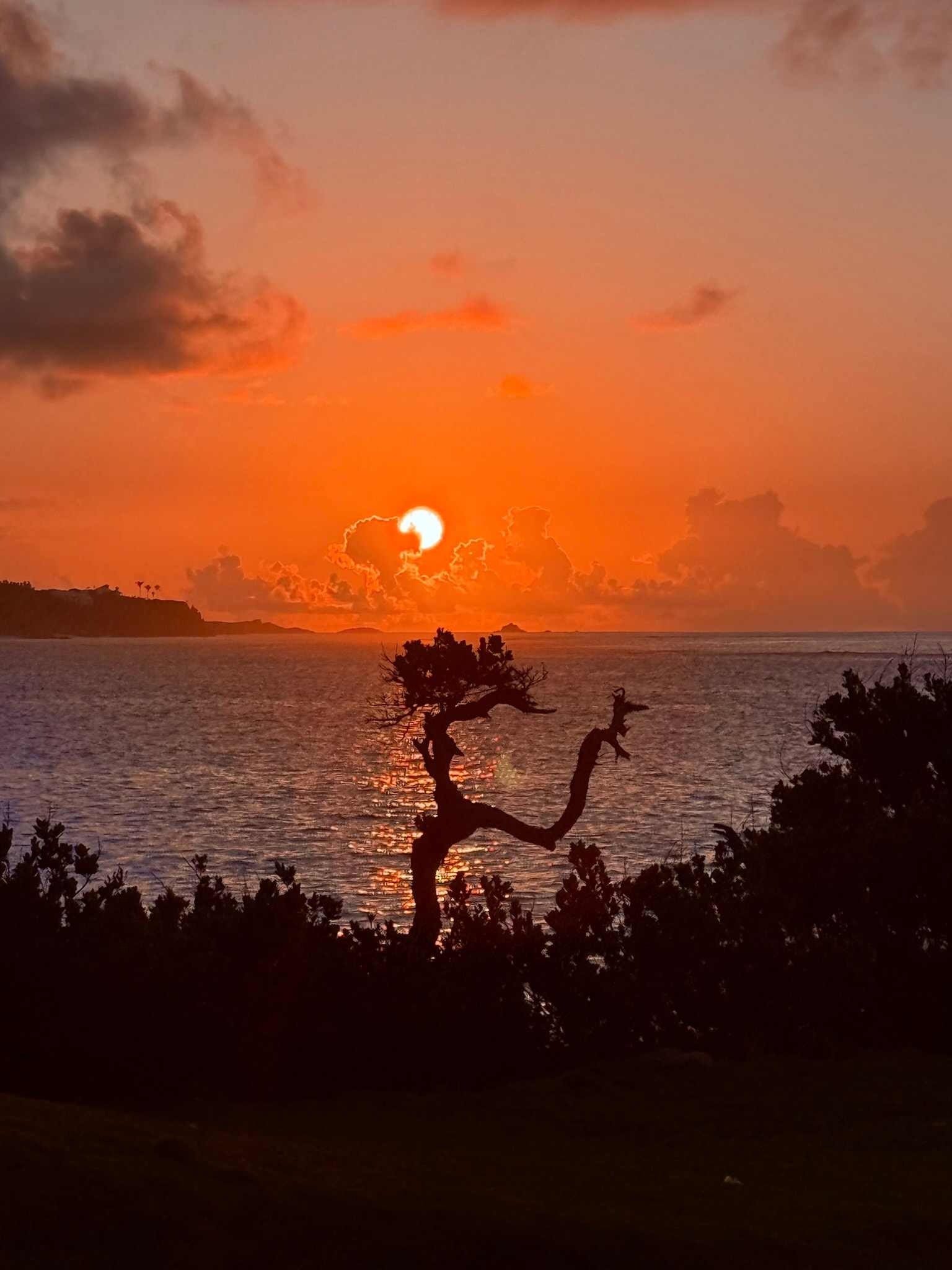 Bermuda Sunrise